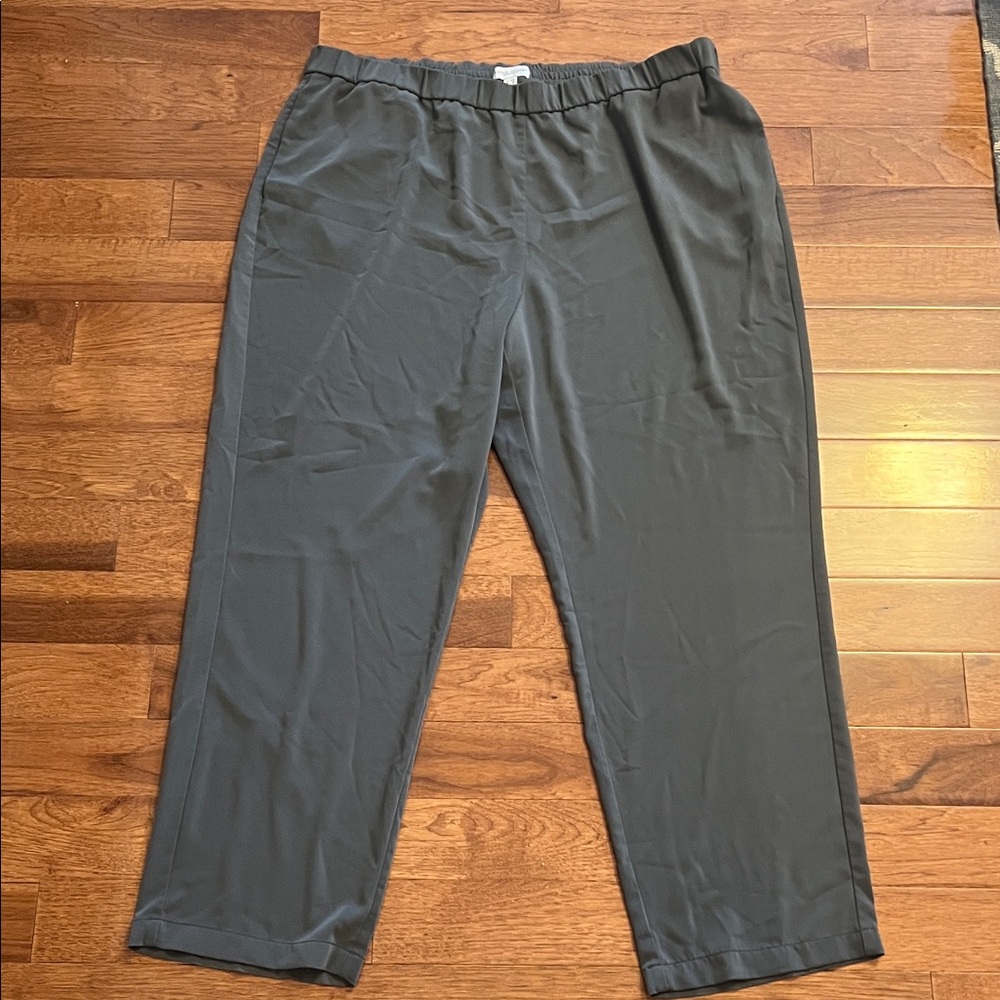 Susan Graver Women’s Liquid Knit Slate Gray elastic waist pants - size 22